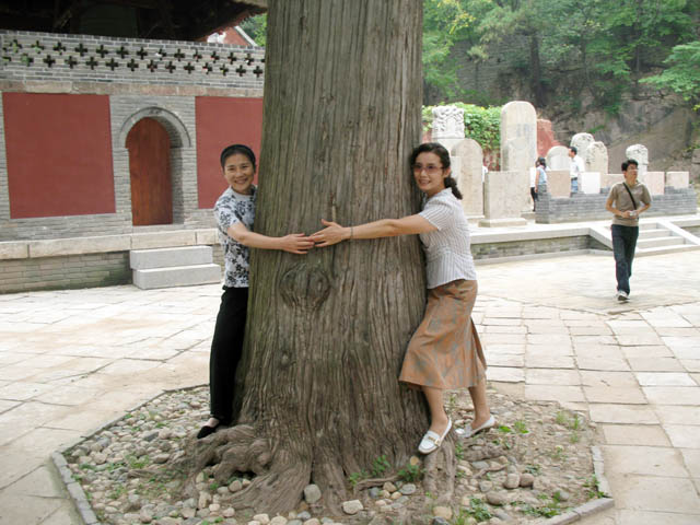 图片说明